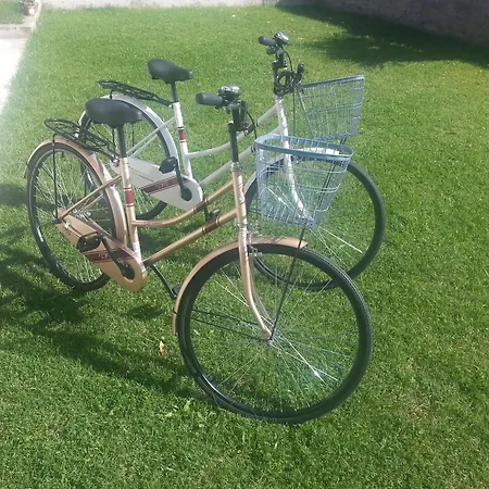 Bonamare Apartman *
